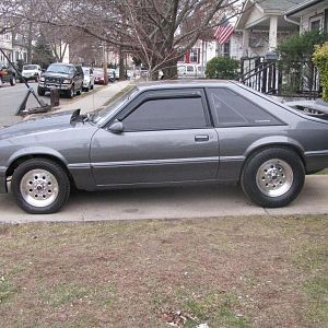 IMG 0055mustang side