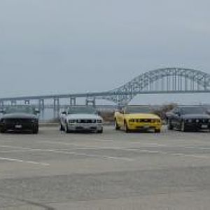 wildponies@captree10