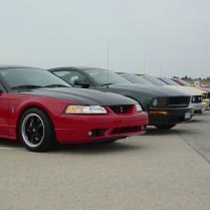 wildponies@captree17