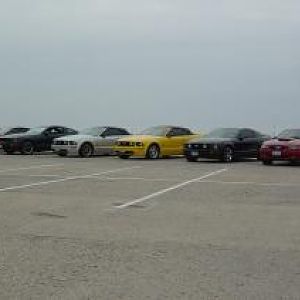 wildponies@captree20