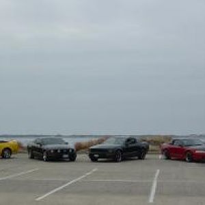 wildponies@captree15