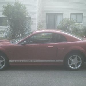 The day i bought her