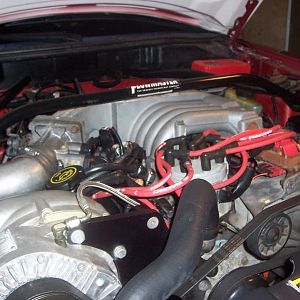 The motor right now mainly stock besides cam msd blower and fuel system. Building a new motor right now DSS 331 stroker with all dss Rotating assembly