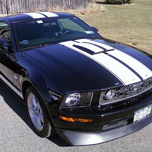 roush hood scoop, cirvini chin spoiler