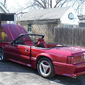 Missing the top and frame - new one is on there now!