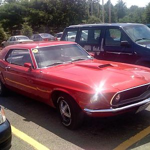 l f503eb0402ab08fee29100d1664814c6