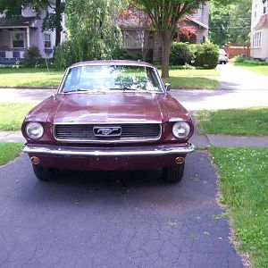 mustang 002