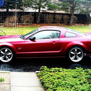 new hood and springs 002