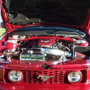 Under the hood polished stainless caps and covers all hand made show quality