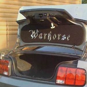 This is a custom trunk lid mat I made for a customer