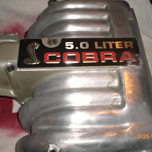 5.0 Cobra intake before