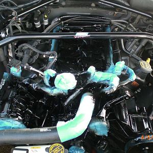 3.8 engine front (alternator removed and is black as well)