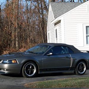 2001 mustang (Small)