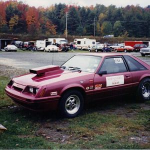 NEW PAINT JUST TO BE DIFFERENT  92