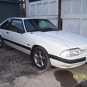 Day after I brought it home.