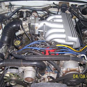 Day after I brought it home. MSD wires on the way.