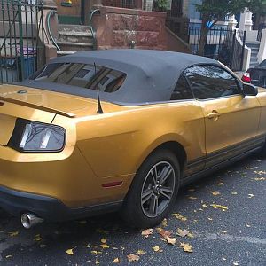 Tinted the windows and smoked out my tail lights, changed the muffler to a magnaflow but not the whole catback system, just the muffles to improve sou