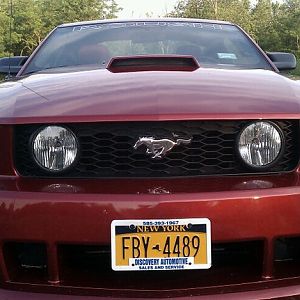 31432 127740727249840 100000417393845 244462 6886710 n