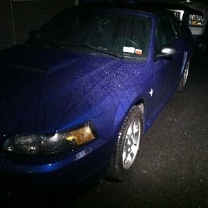 Before i could clean out the garage