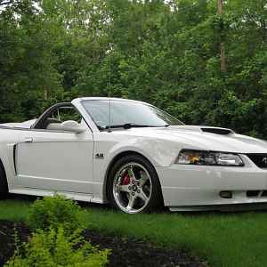 lowered and cobra brakes