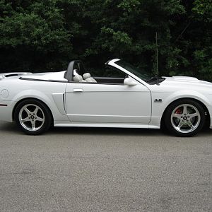 day after i lowered it with bigger rotors and cobra/mach 1 calipers