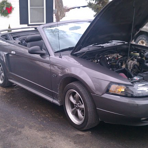 i lucked out with the wheels too