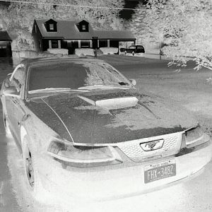 Wish it was still summer