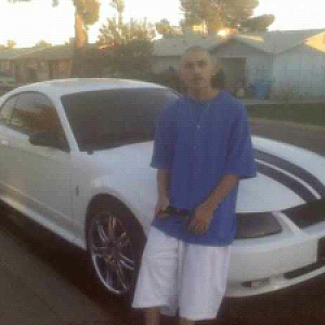 New Limo tint  all around