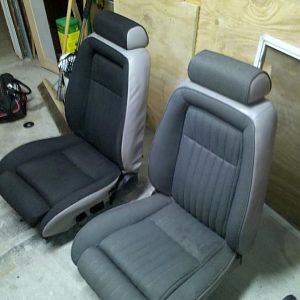 sprayed the seats black