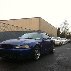 The cobra before the drop