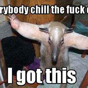 everybody chill the fuck out i got this