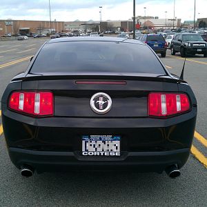 Looks so much better with tint on the rear window.