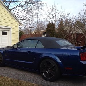 Love -
Definition of Love:  Not kicking your cat halfway across the yard when she does things like this!