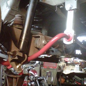 IMG00302 20120216 1239