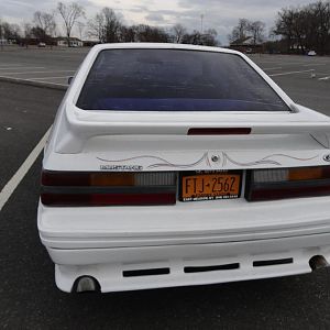 Rear View - The American Angel