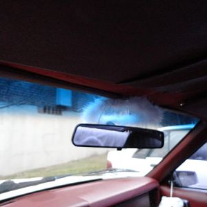 HaloOnRearViewMirror