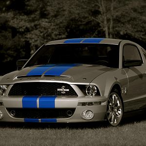 IMG 3189colorized 2.1