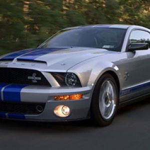 IMG 5518adjustedVERYSMALL7Cropped