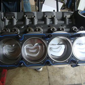 Probe SRS forged pistons