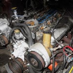 Coming Soon....1989 306, TRW forged .030 pistons,Ford Racing Aluminum GT40 Ported Frankie Ford Heads, TFS Stage 1 cam, Edelbrock RPMII Intake, 24lb In