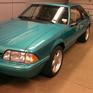 All ready for spring