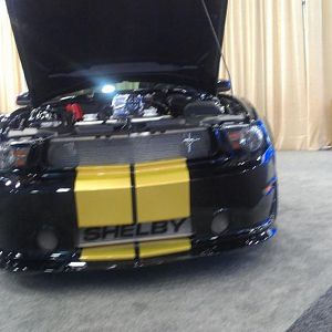 2012 Shelby GT350 50th Anniversary rear 1024x640