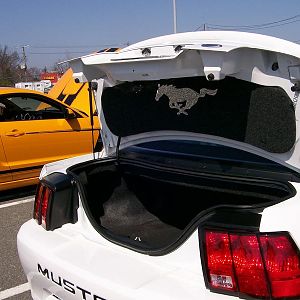 Pristine '01 V6 'vert with a trunk liner I am gonna put in my '04.