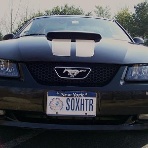 This is for all you Yankee fans out there!!!