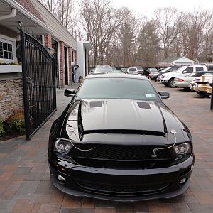 ShelbysFaceLift32012015