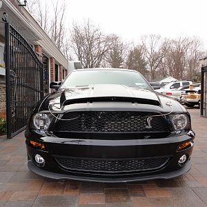 ShelbysFaceLift32012014