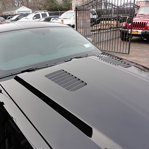 ShelbysFaceLift32012013