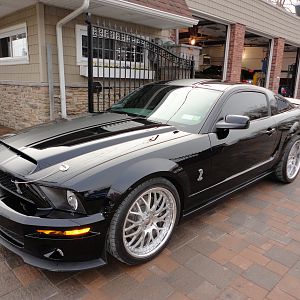 ShelbysFaceLift32012012