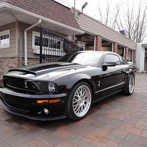 ShelbysFaceLift32012011