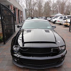 ShelbysFaceLift32012010
